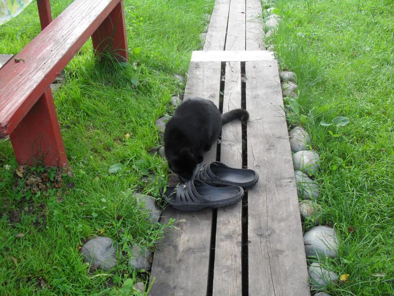 Прикрепленное изображение