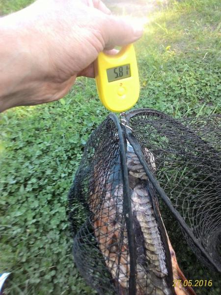 Прикрепленное изображение