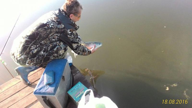 Прикрепленное изображение