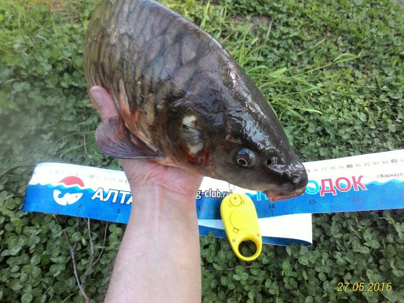 Прикрепленное изображение