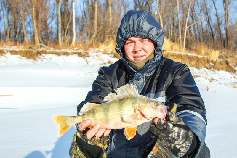 Прикрепленное изображение