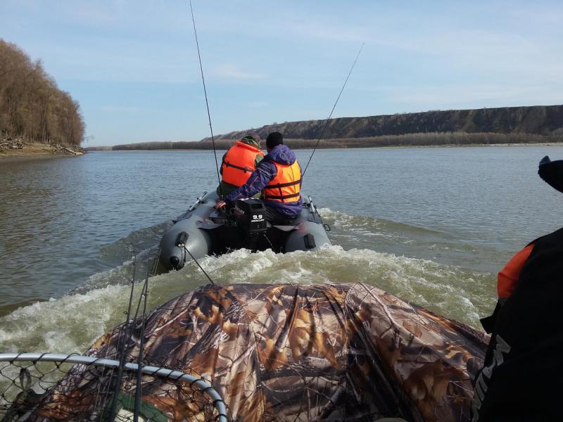 Прикрепленное изображение