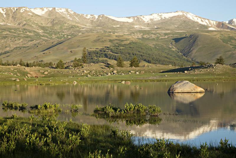 Прикрепленное изображение