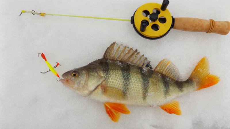 Прикрепленное изображение