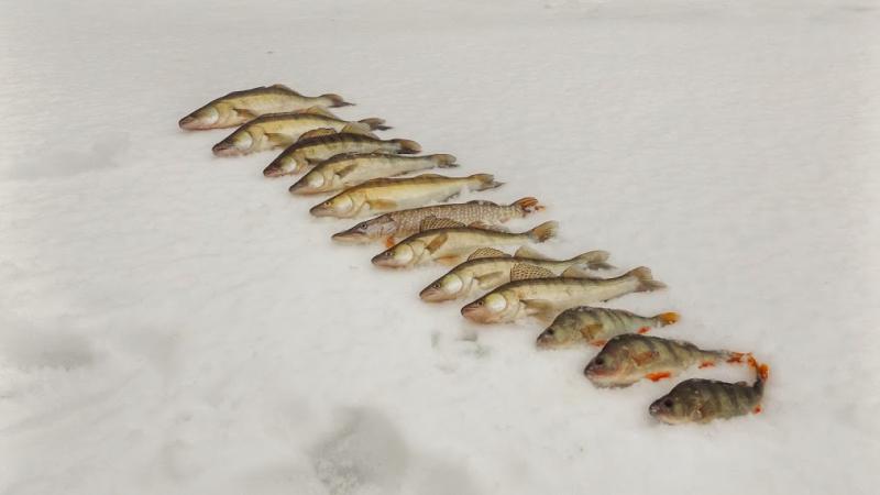 Прикрепленное изображение