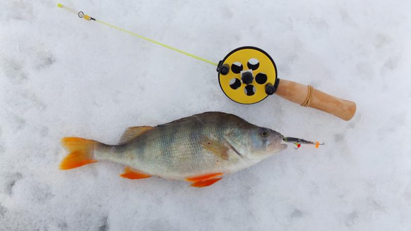 Прикрепленное изображение