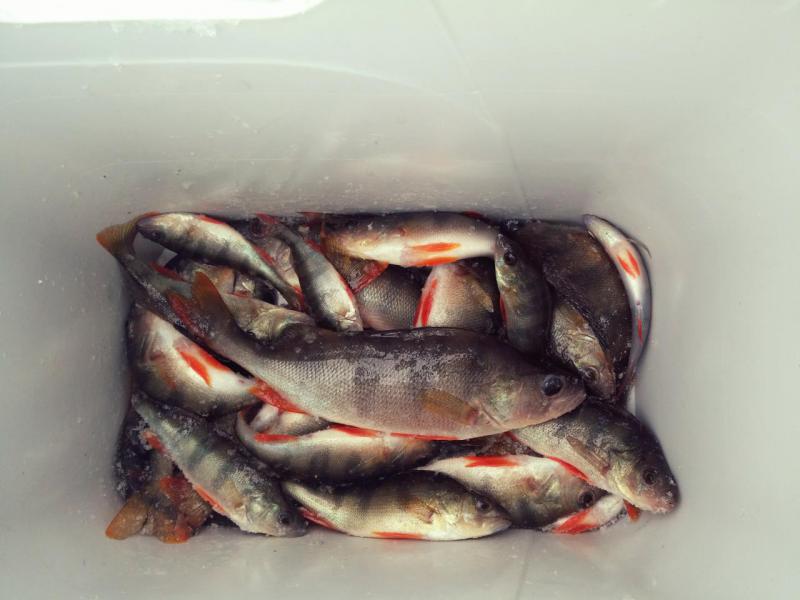 Прикрепленное изображение