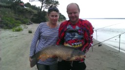 Прикрепленное изображение