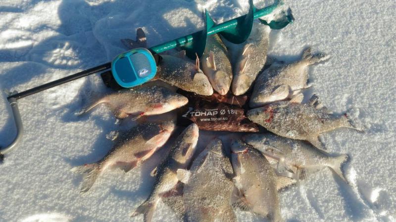 Прикрепленное изображение