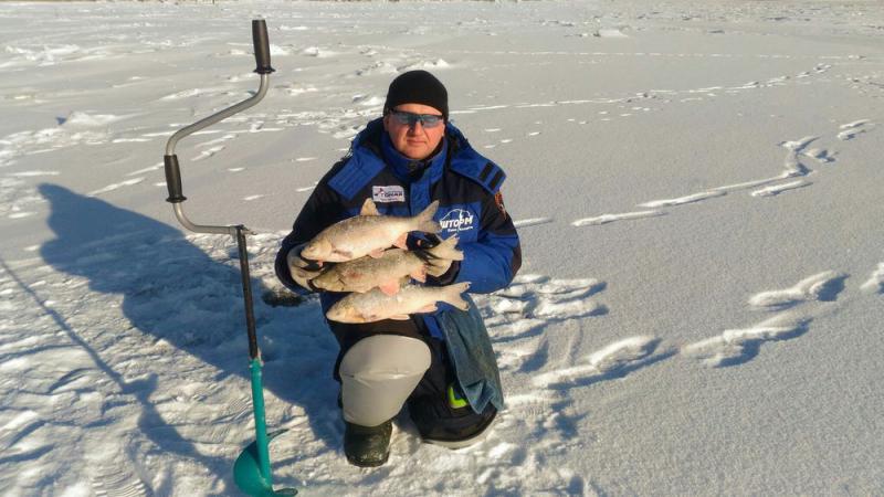 Прикрепленное изображение