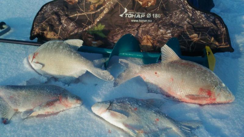 Прикрепленное изображение