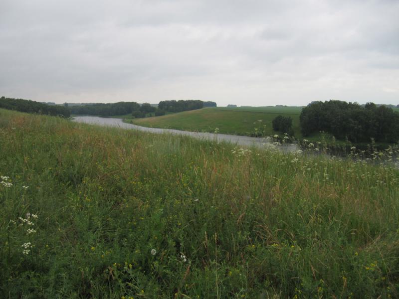 Прикрепленное изображение