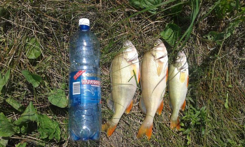 blogentry-55-0-12046900-1437576122_thumb