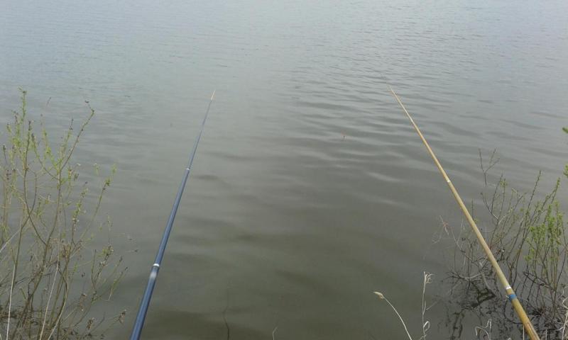 Прикрепленное изображение