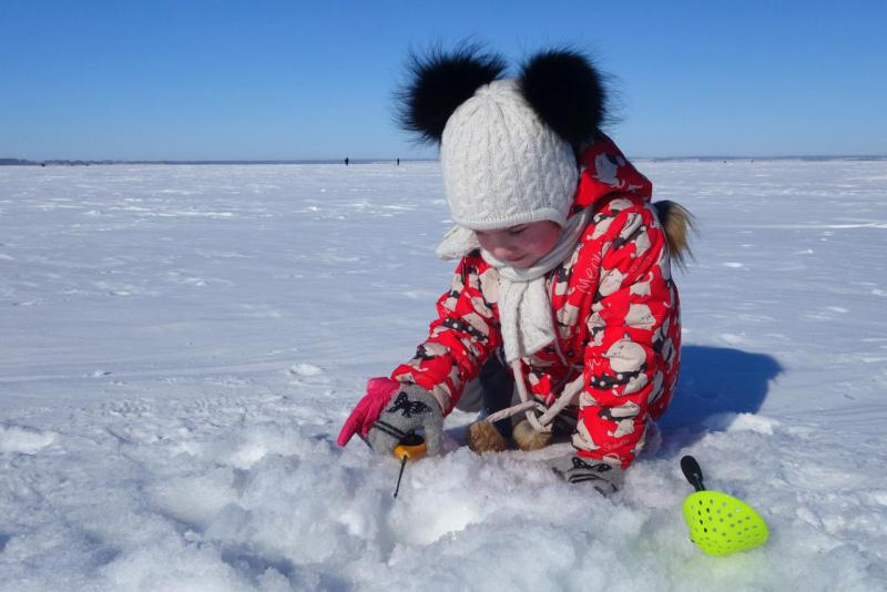 Прикрепленное изображение