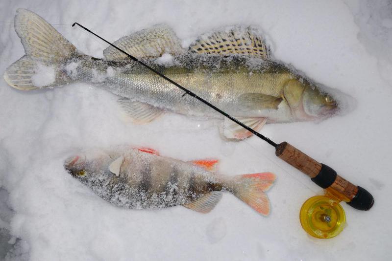 Прикрепленное изображение