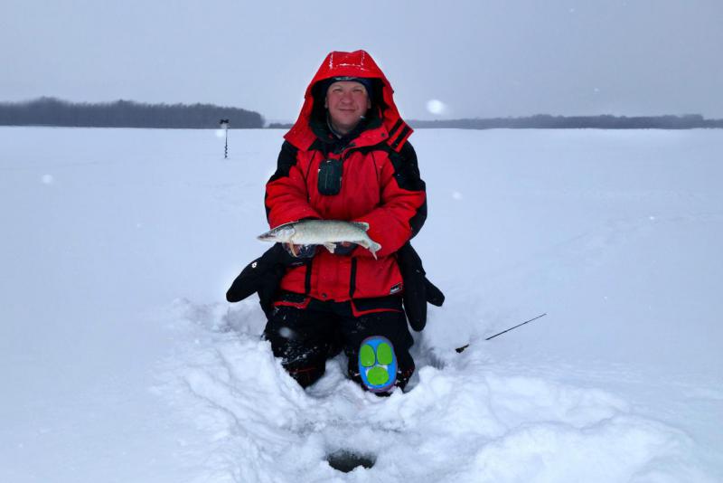 Прикрепленное изображение