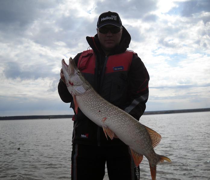 Прикрепленное изображение