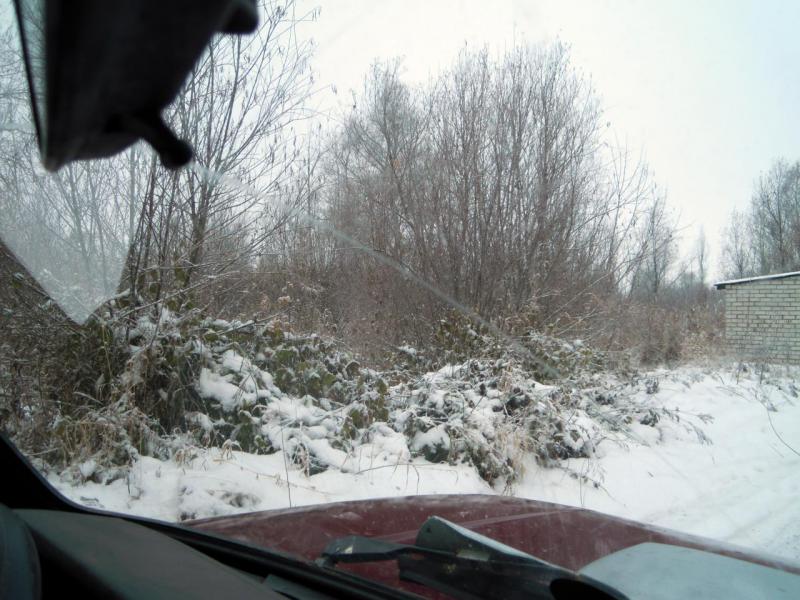 Прикрепленное изображение