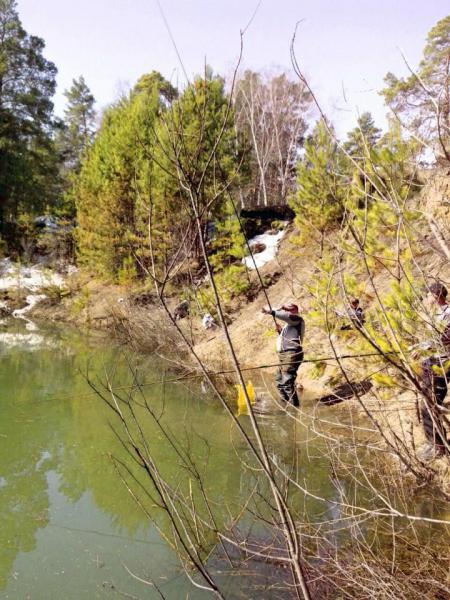 Прикрепленное изображение