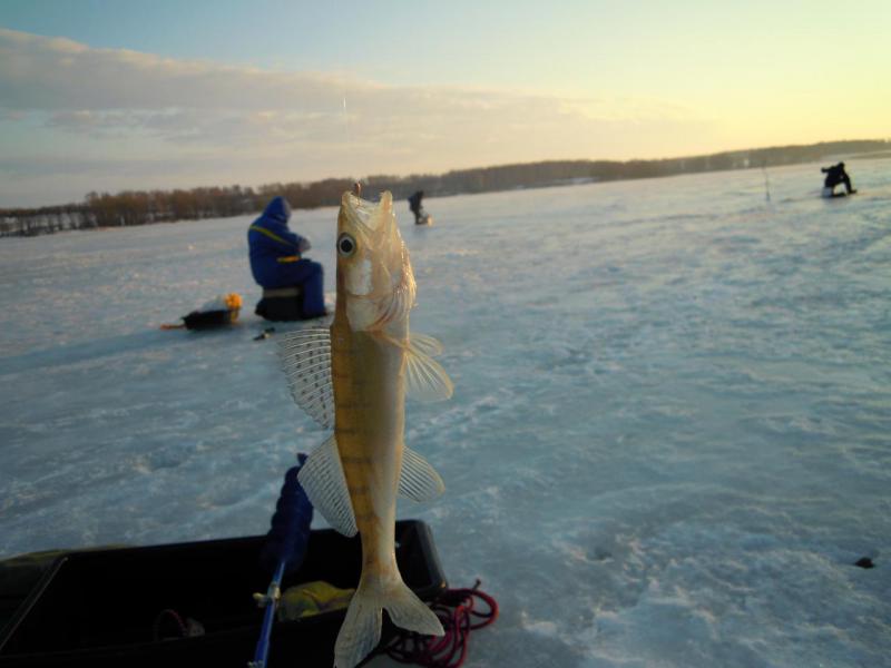 Прикрепленное изображение