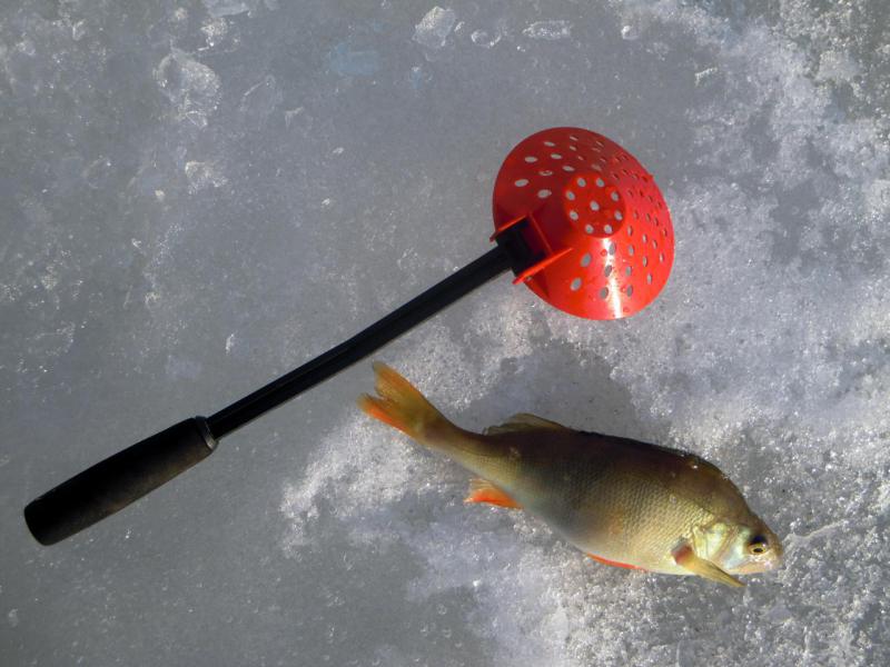 Прикрепленное изображение