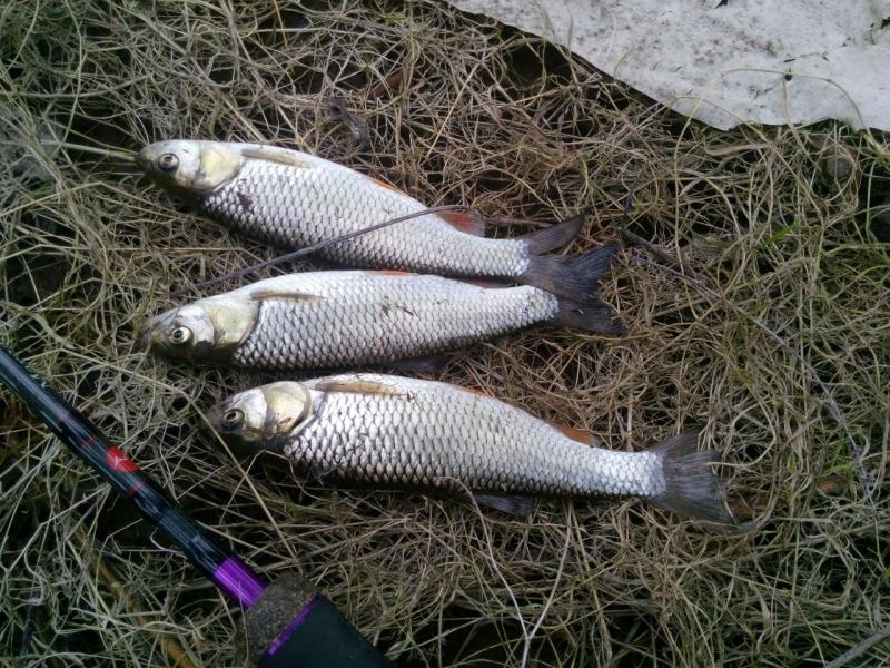 Прикрепленное изображение