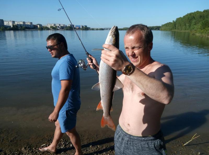 Прикрепленное изображение