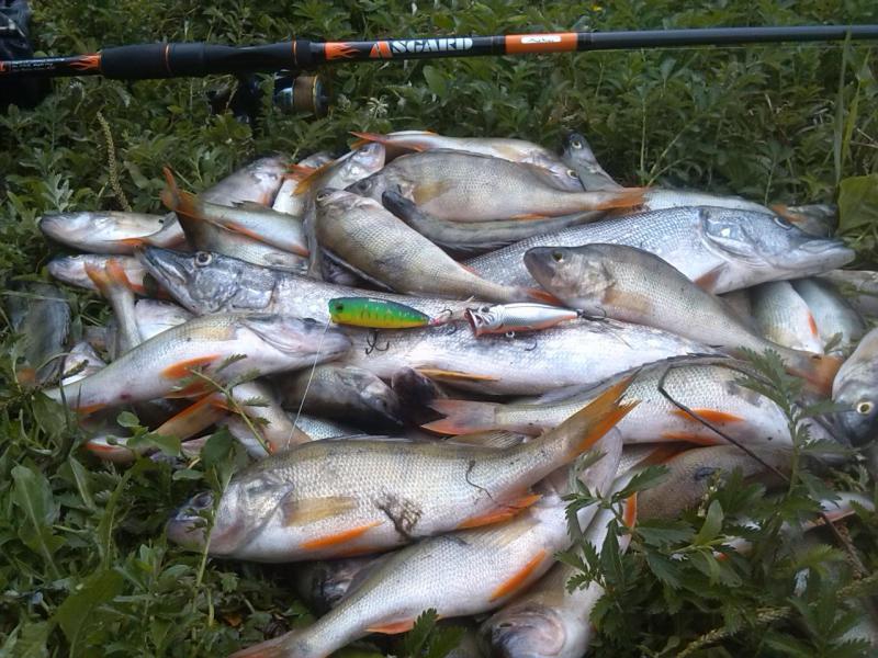 Прикрепленное изображение