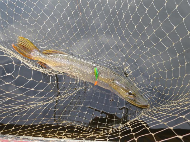 Прикрепленное изображение