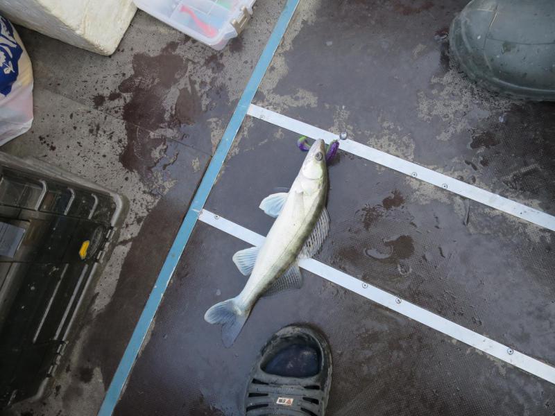 Прикрепленное изображение