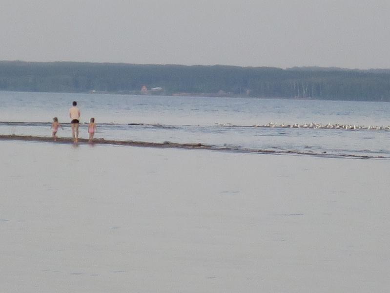 Прикрепленное изображение