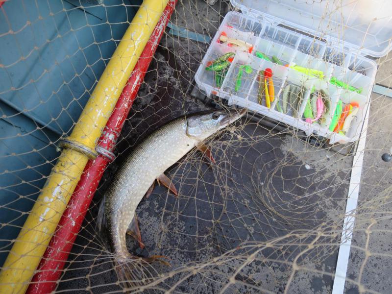 Прикрепленное изображение