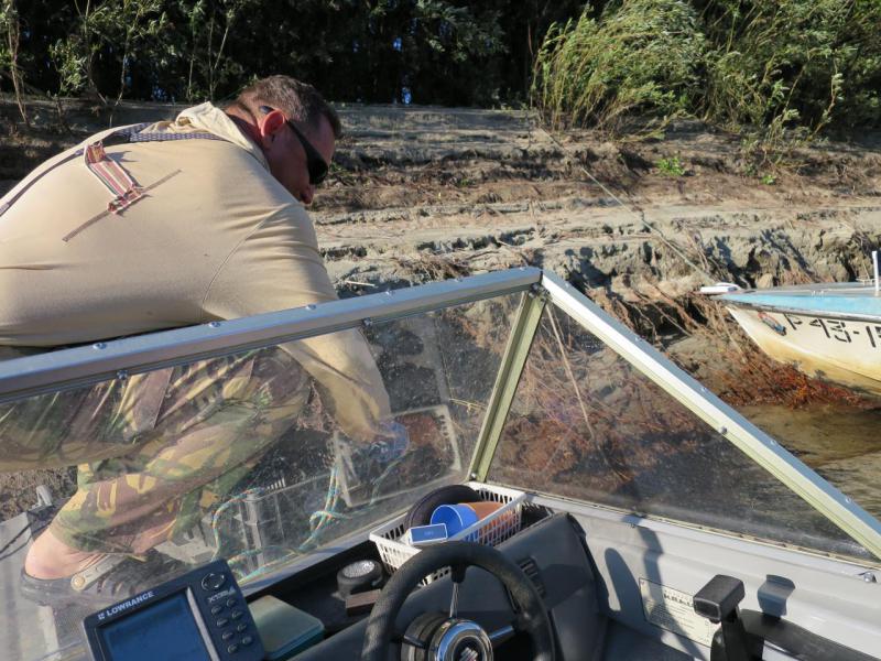 Прикрепленное изображение