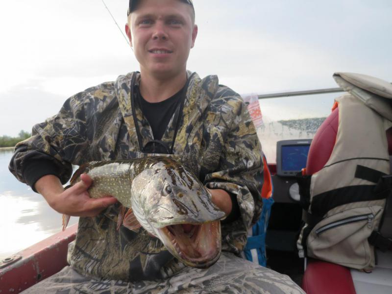 Прикрепленное изображение