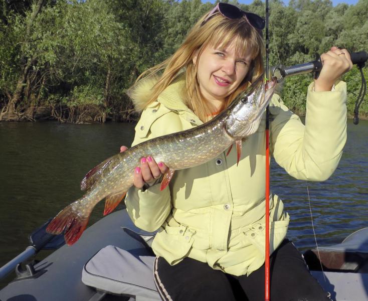 Прикрепленное изображение