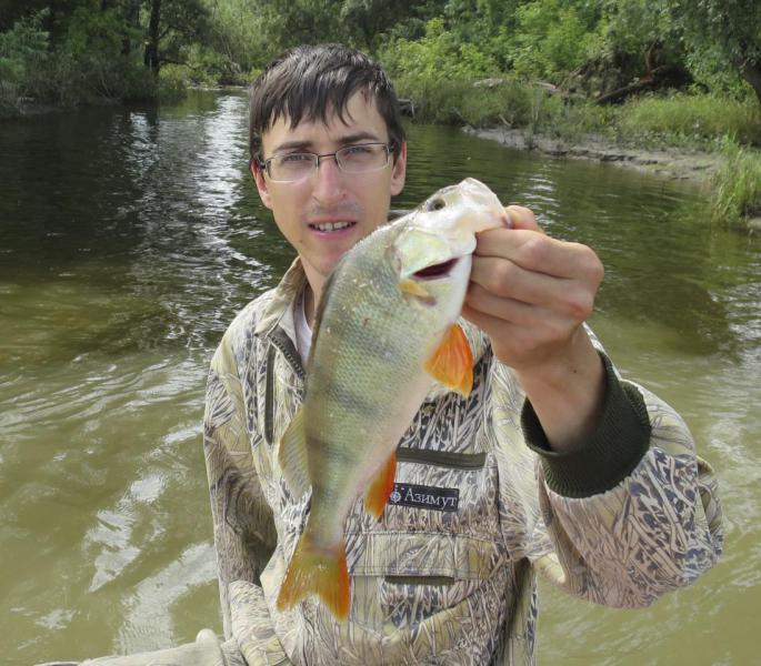 Прикрепленное изображение