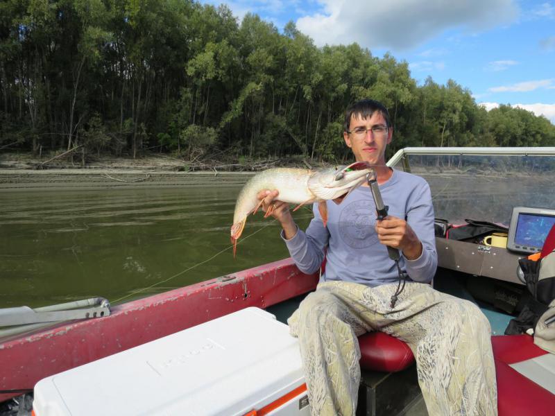 Прикрепленное изображение