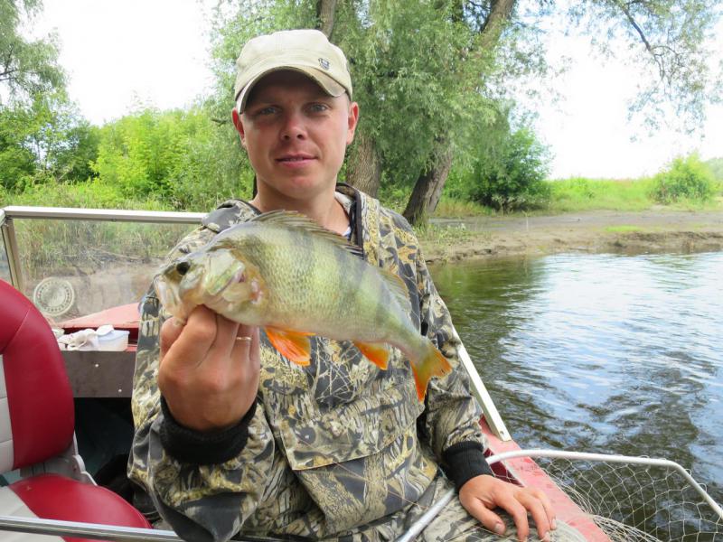 Прикрепленное изображение