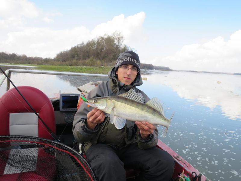 Прикрепленное изображение