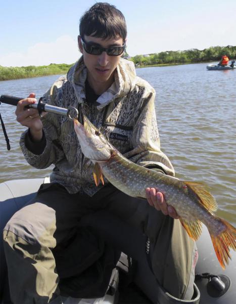 Прикрепленное изображение