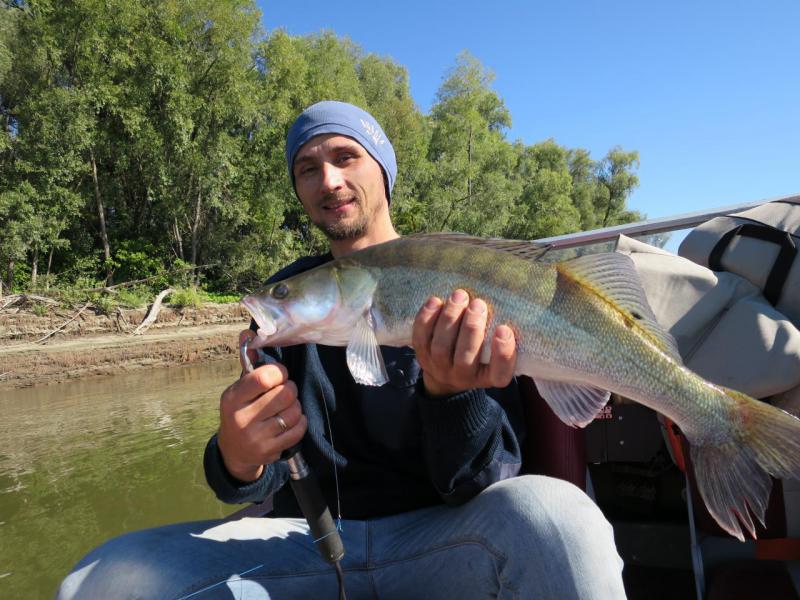 Прикрепленное изображение