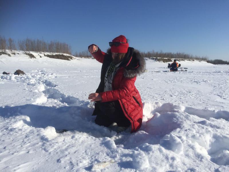 Прикрепленное изображение