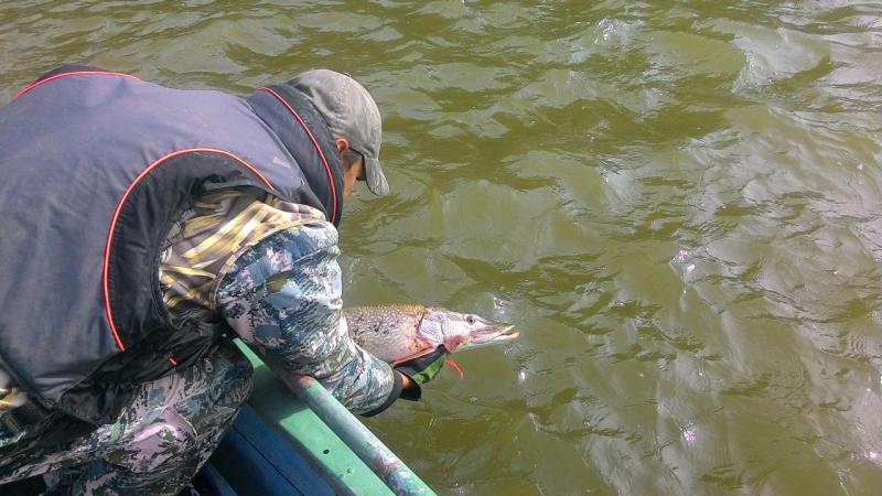 Прикрепленное изображение