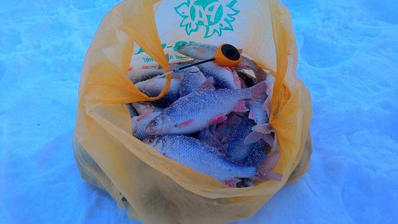 Прикрепленное изображение