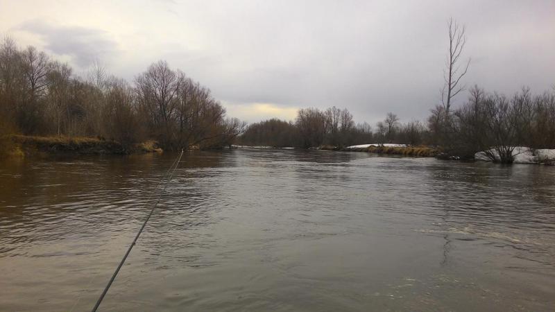 Прикрепленное изображение
