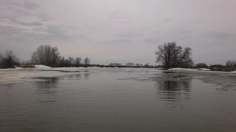 Прикрепленное изображение