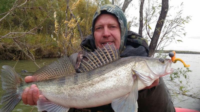 Прикрепленное изображение