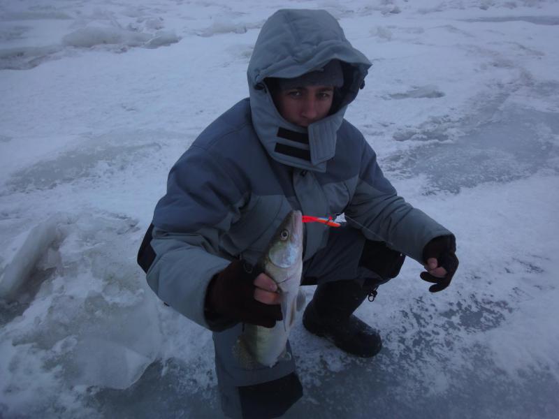 Прикрепленное изображение