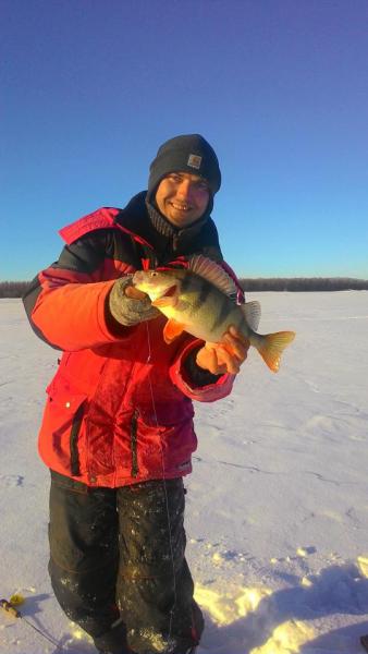 Прикрепленное изображение